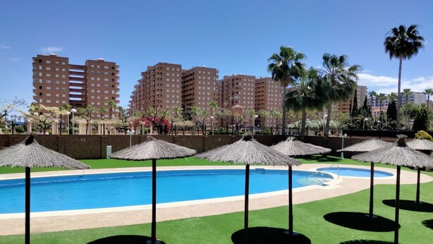A swimming pool with surrounding grass and palm trees, with high-rise buildings in the background. - ACV - Playa Coral I-2ª Linea Planta 3 Norte (OROPESA)