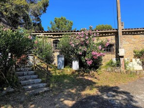 Área da propriedade