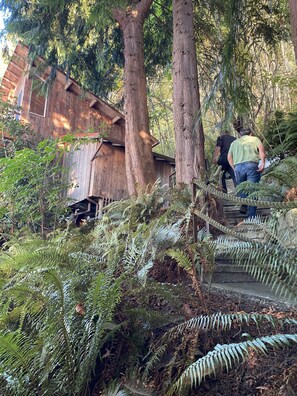 Property grounds - Enjoy big Salish Sea views in a hand hewn tree-like home on Picnic Point Lake (Edmonds)
