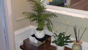 Une petite table en bois sur laquelle se trouvent une boîte de mouchoirs, une plante en pot, un vase blanc contenant une plante et deux tasses à thé blanches, le tout posé sur un plateau.