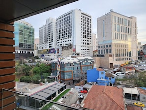 Vista desde la propiedad