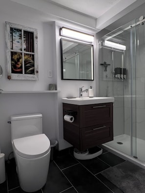Shower, eco-friendly toiletries, hair dryer, towels