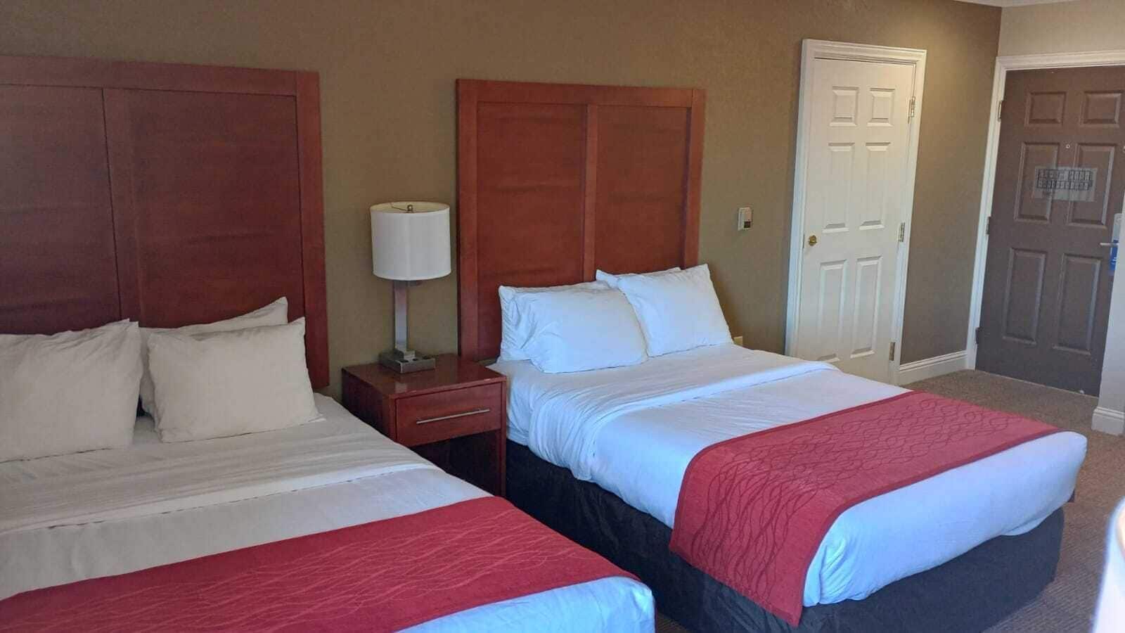 A hotel room with two beds, a nightstand, a lamp, and a door.
