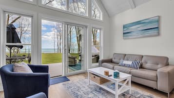 Smart TV, fireplace, books