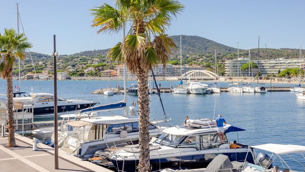 A marina with various boats docked, palm trees lining the waterfront, and a backdrop of buildings and hills. - Les Coteaux de la Nartelle by Interhome (Sainte Maxime)
