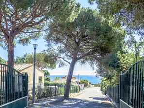 Stroll along a serene residential street lined with mature trees, leading to a tranquil body of water.