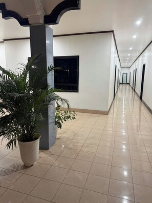 A hallway with a potted plant, a window, and a door at the end.