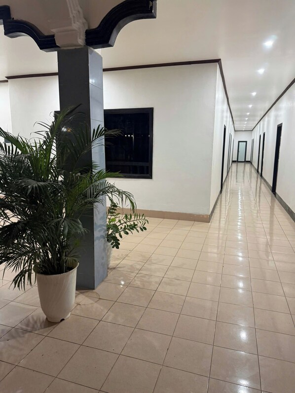 Un pasillo con una planta en maceta, una ventana y una puerta al final.