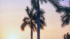 Unclassified image, 4 of 17, button - Grand Luxxe Vidanta Nuevo Vallarta  (Nuevo Nayarit)