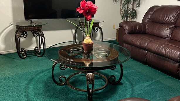 Ein Wohnzimmer mit rundem Glastisch, braunem Ledersofa, Flachbildfernseher und einer Topfpflanze.