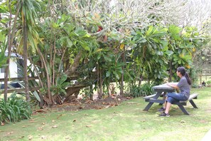 Exterior - Saints Holiday Apartments (Norfolk Island)