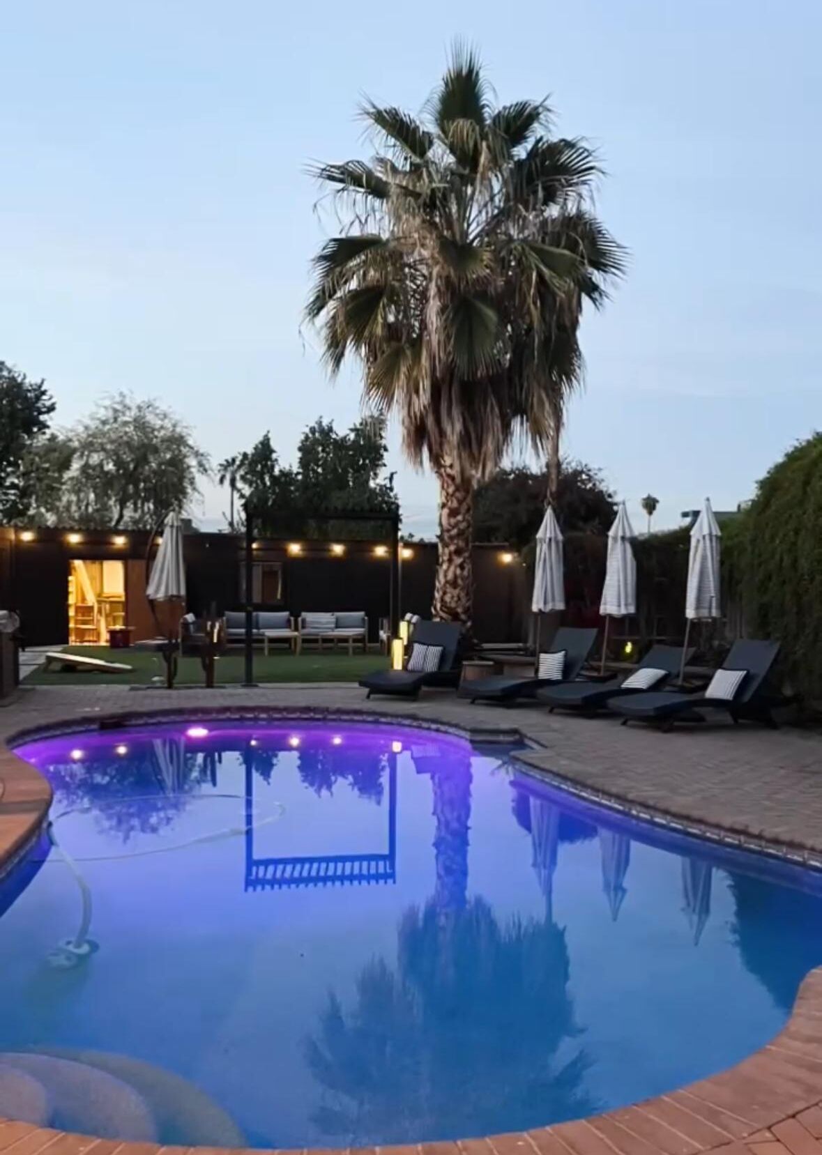 Ein Swimmingpool mit Fliesenrand, umgeben von Liegestühlen und Sonnenschirmen, mit einer Palme und einem Gebäude im Hintergrund.