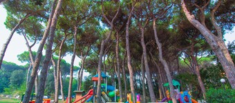 Apartment 2 bedrooms and pinewood view P2 34