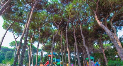 Apartment 2 bedrooms near to the beach P 03