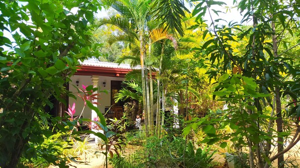 Exterior - Yashi's Place Sigiriya (Sigiriya)