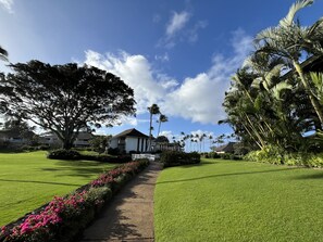 Property grounds - The ‘IMI OLA at Kiahuna Beach - Great Location on Kauai's South Shore -A/C (Koloa)