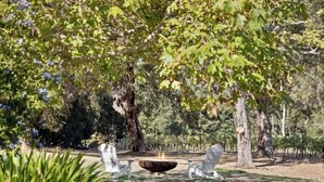 A fire pit surrounded by white chairs in a park-like setting with trees. - Wisteria Vines Estate—Rustic Elegance by the Coast (Wilyabrup)