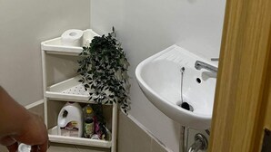 A bathroom with a white sink, a mirror, a towel rack, and a shelf with toiletries.