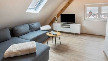 Fernseher