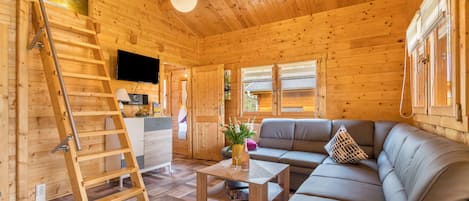 تلفزيون، مشغل دي في دي، تنس طاولة، ستيريو