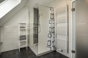 Chuveiro, secador de cabelo, toalhas de banho 