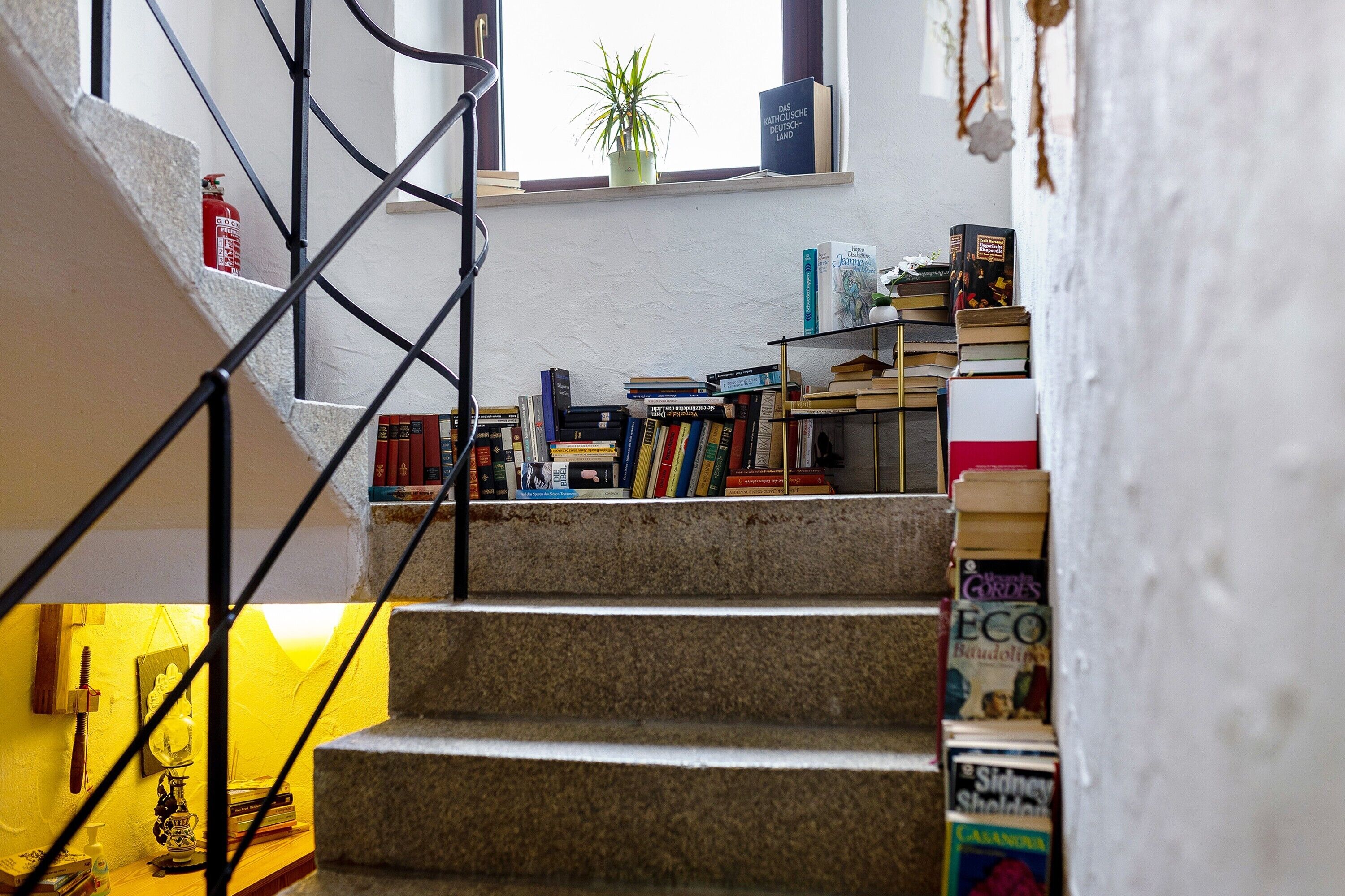 A staircase with a bookshelf at the top.