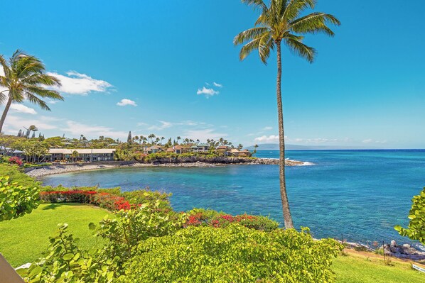 Miscellaneous - Oceanfront, updated, clean, modern. Great reviews! (Lahaina)