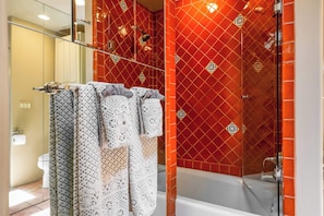 Shower, hair dryer, shampoo