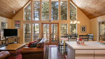 Télévision, cheminée, espaces bureaux