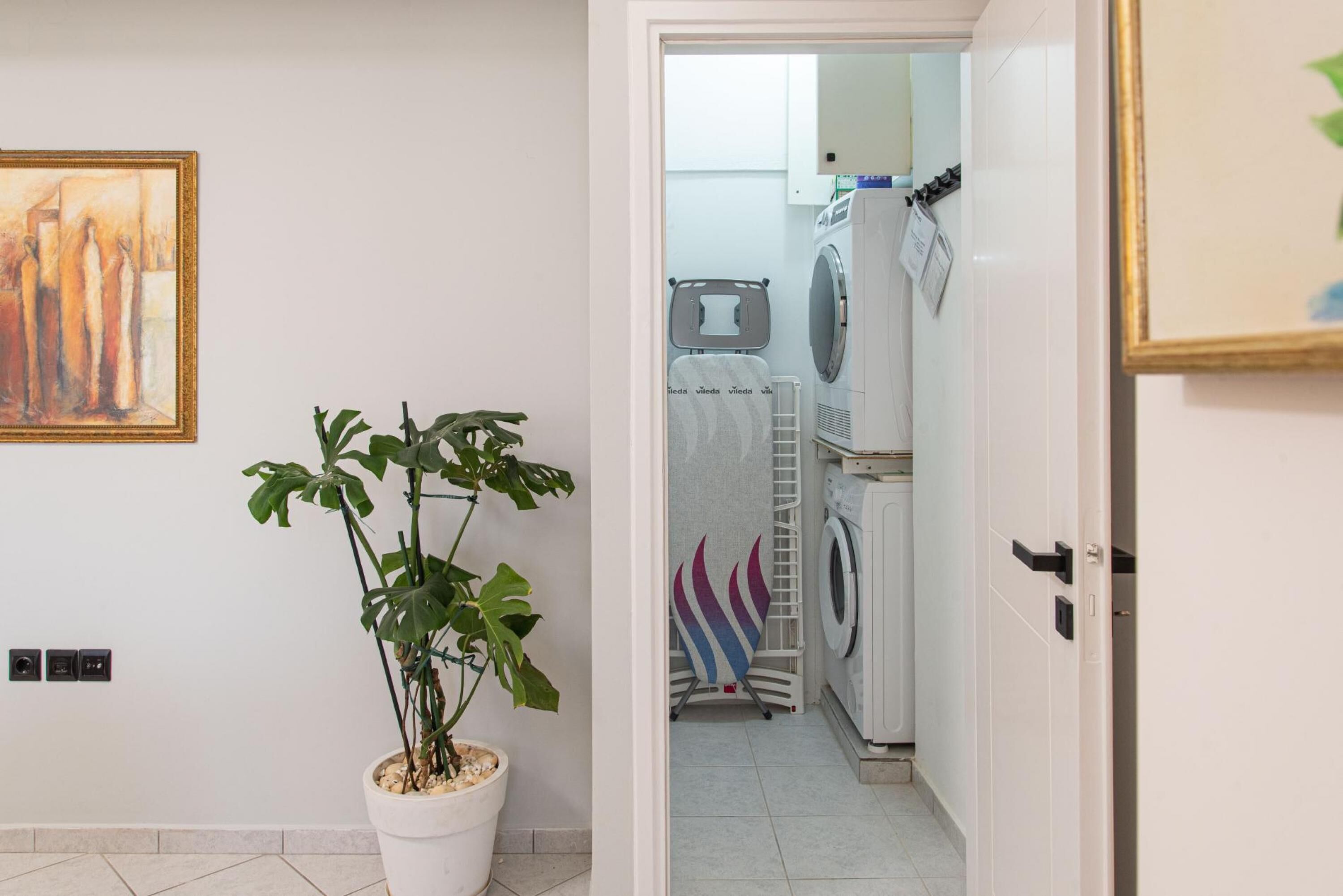 Un couloir avec une plante en pot, un tableau encadré et un coin buanderie comprenant un lave-linge et un sèche-linge.