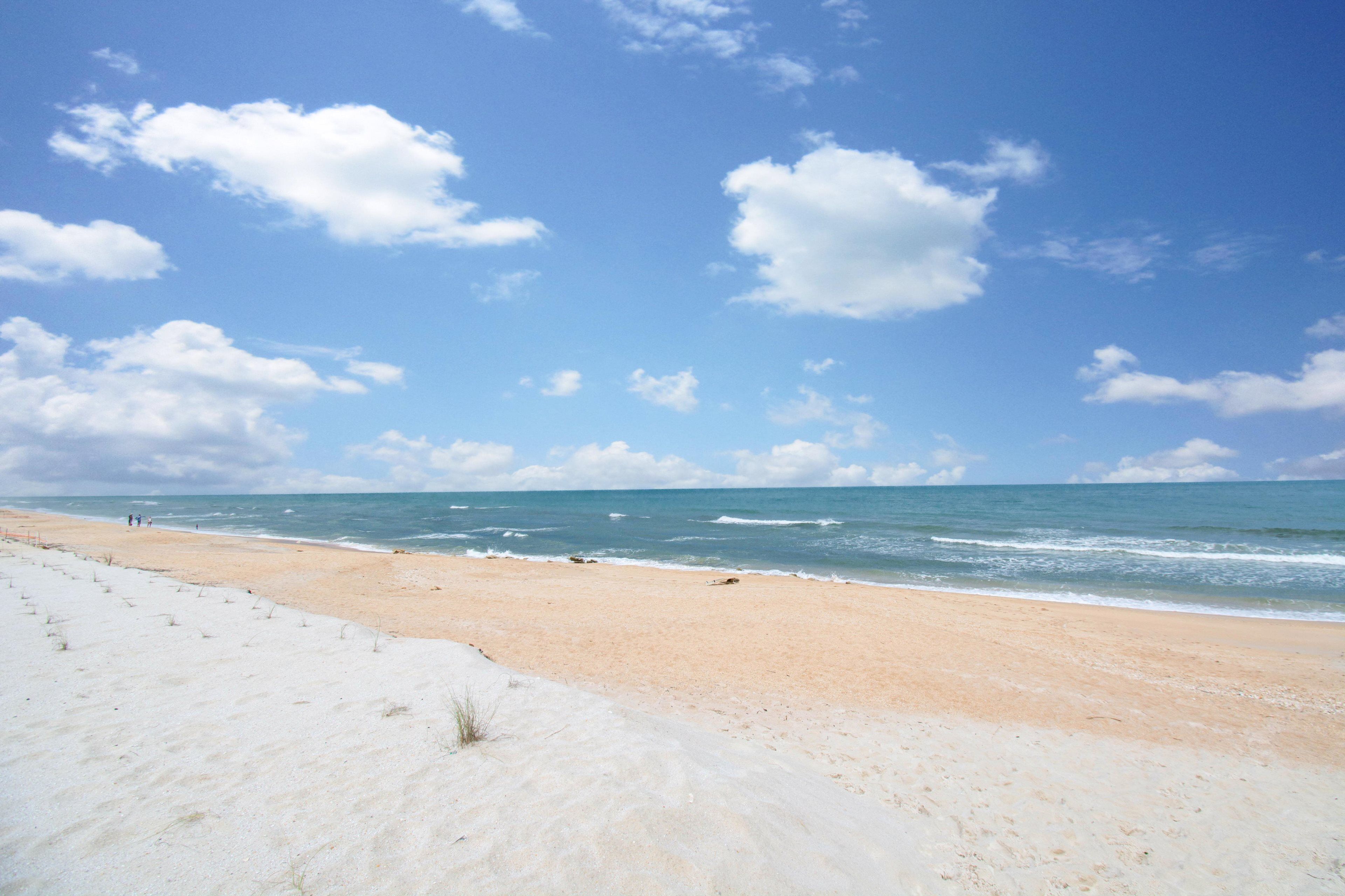 Plage à proximité, chaises longues, serviettes de plage