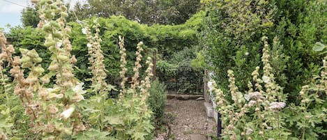 Cottage | Property grounds