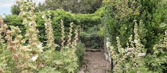 Chenies