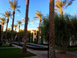 A courtyard with palm trees, a pathway, and a building with a pool in the background.