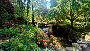 A serene garden with a small stream, lush greenery, and flowering plants. - The Barn at Plas Ashpool -  a beautiful converted barn sleeping 12 guests (Llandyrnog)