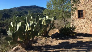 Un bâtiment en pierre doté d’une fenêtre, entouré de cactus et avec une montagne en arrière-plan.
