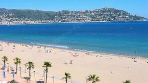 Une plage bordée de palmiers, avec une ville en arrière-plan.