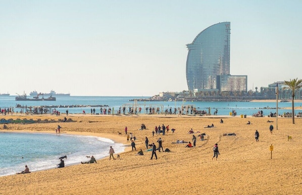 Lettini da mare