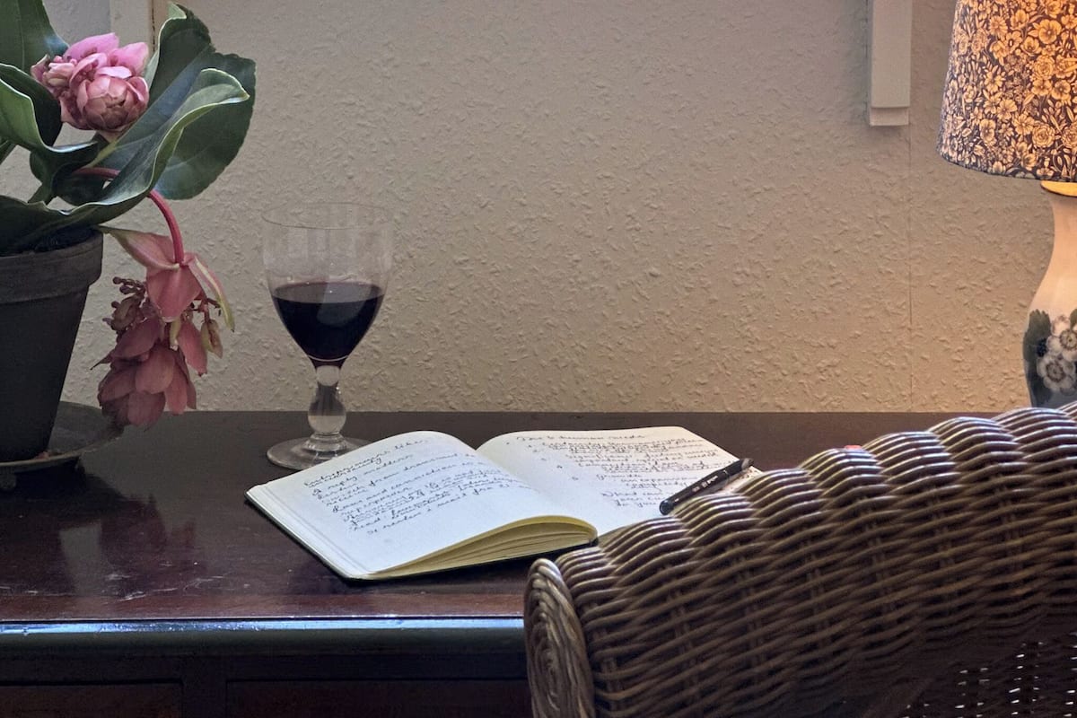 Una mesa con un libro, una copa de vino tinto y una planta en maceta.