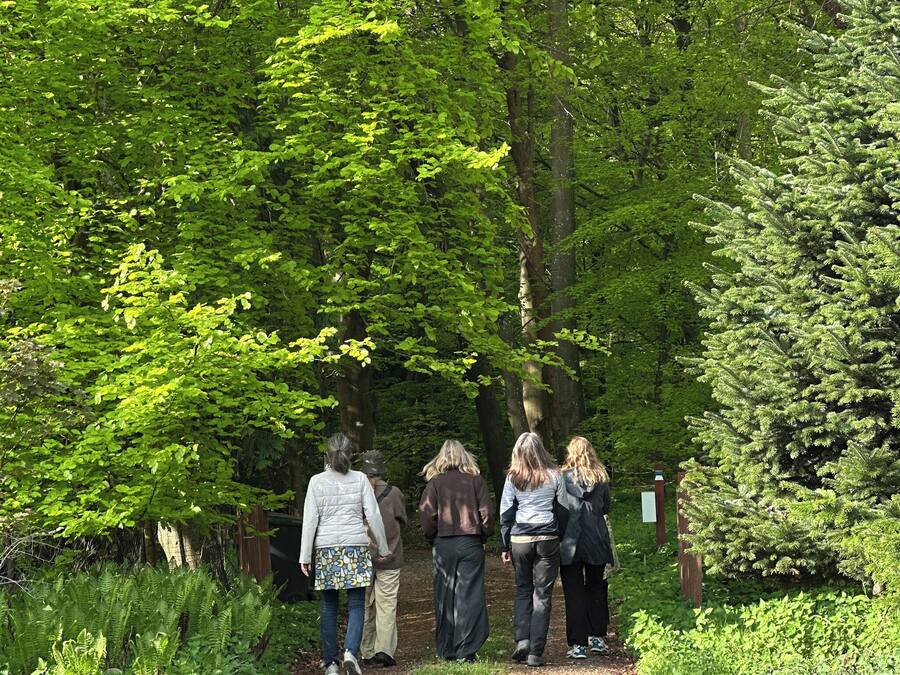A group of people walking on a dirt path surrounded by dense green foliage and trees.