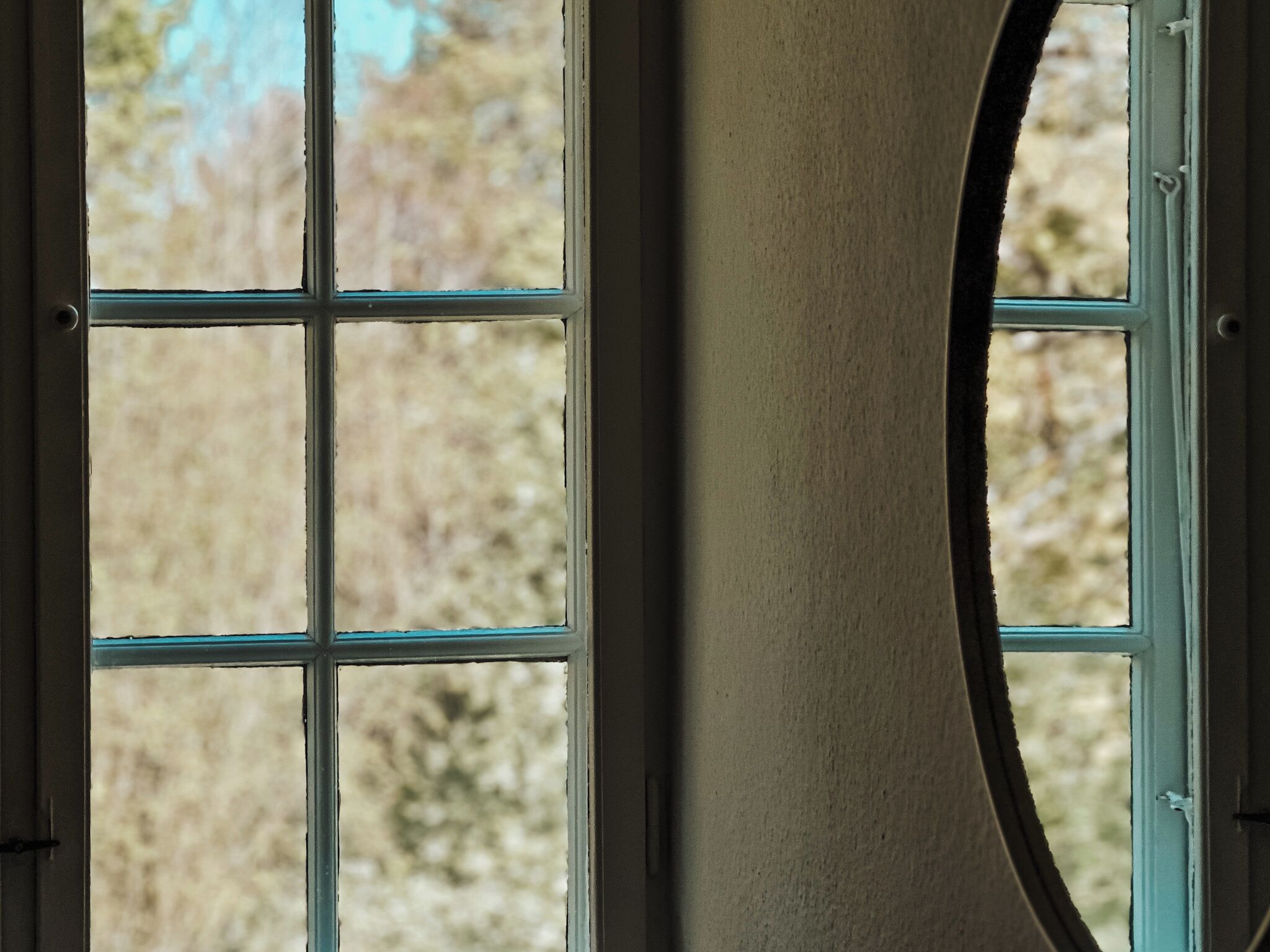 A window with a view of trees and a wall.