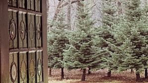 A wooden door with a metal gate, leading to a gravel path with evergreen trees. - The Woodland Lodge Gisselfeld (Haslev)
