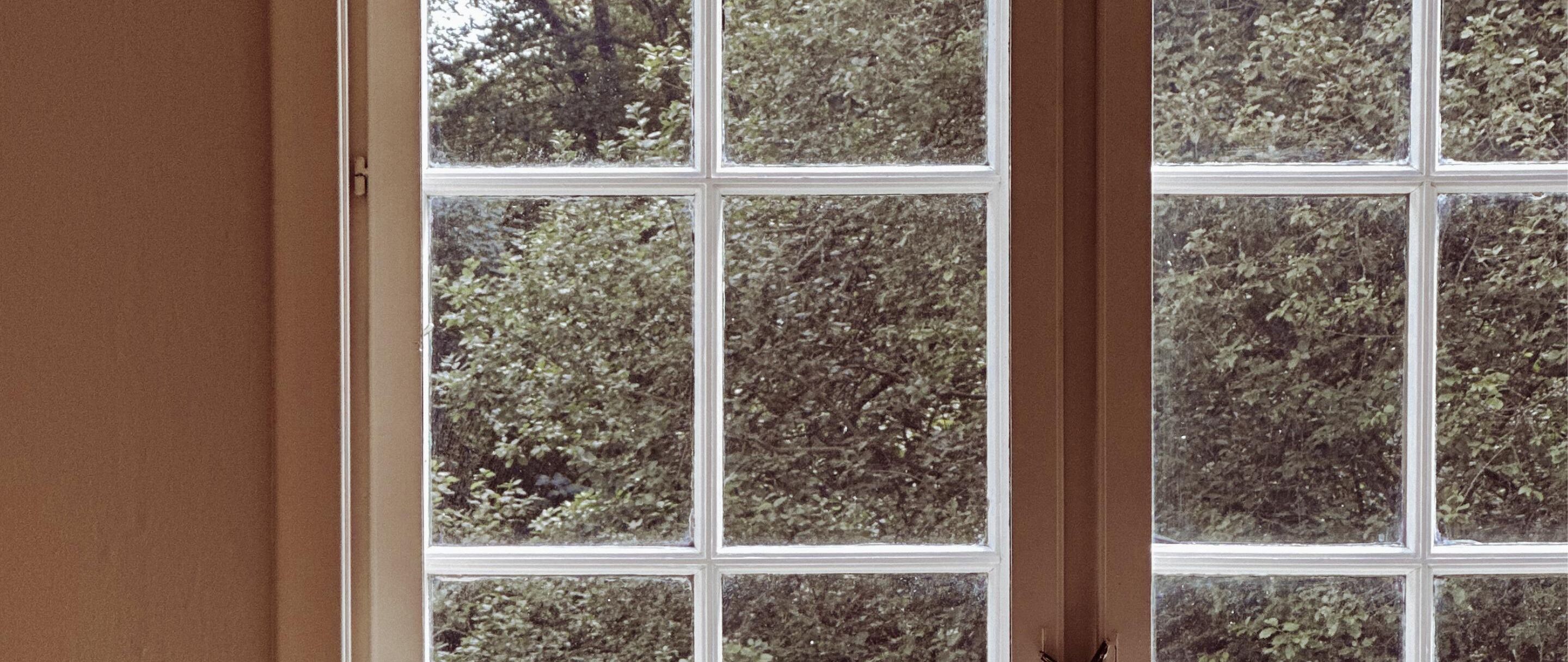 Una ventana con vista a una vegetación densa.