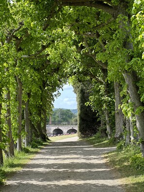 Site d’intérêt