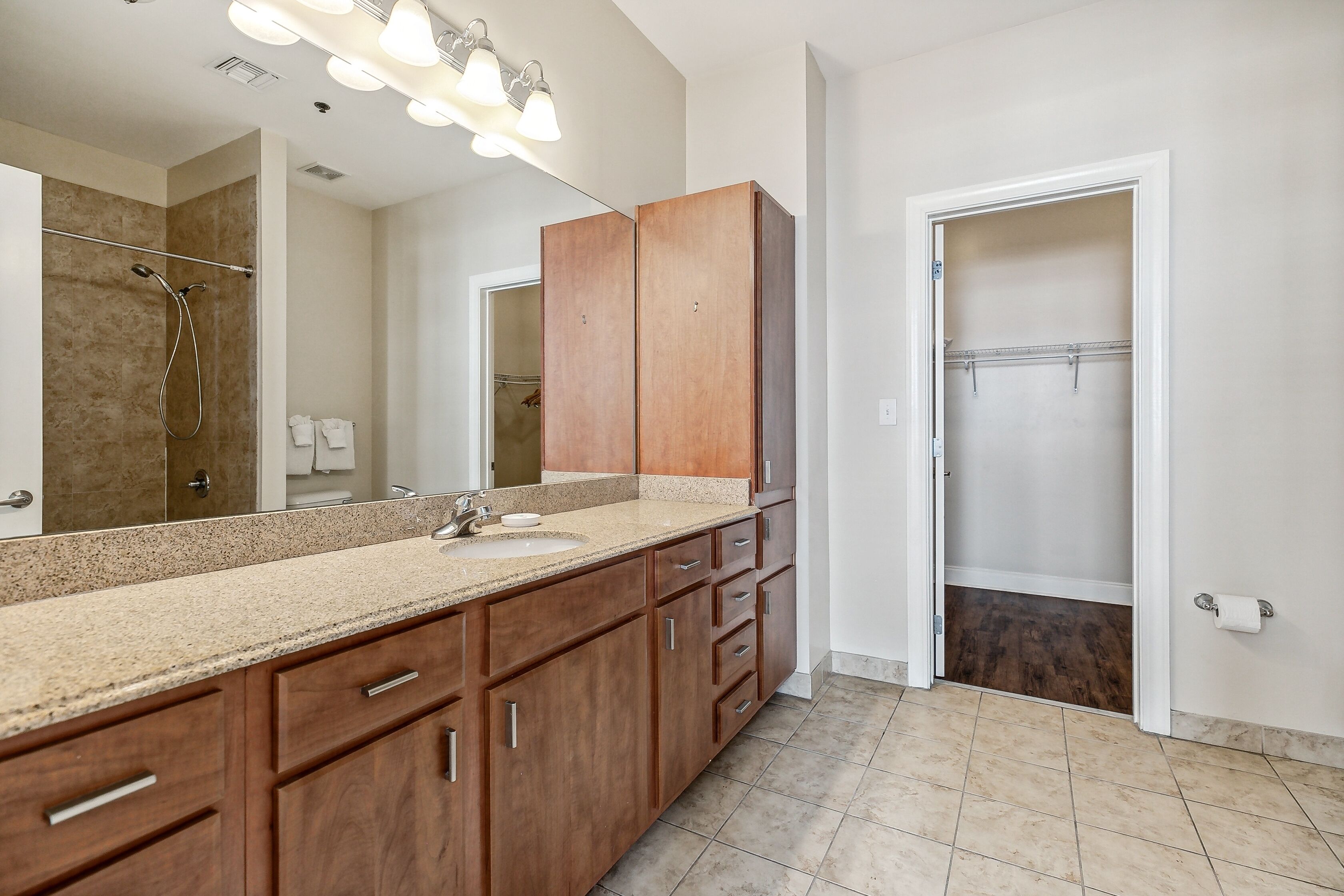 A bathroom with a large vanity, a shower, and a walk-in closet.