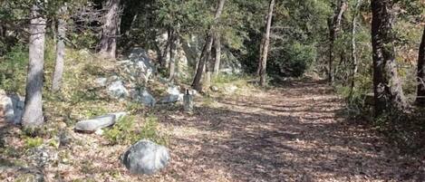 Área da propriedade