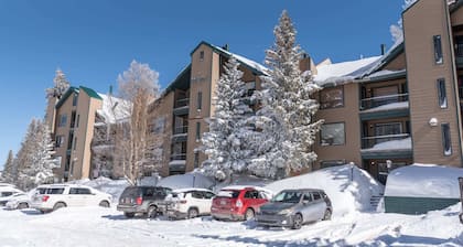 EW 105-Cozy Adorable Condo That Is A Ski In/Out
