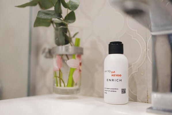 Hair dryer - Modern-style APT/City Centre/Saryan Str (Yerevan)