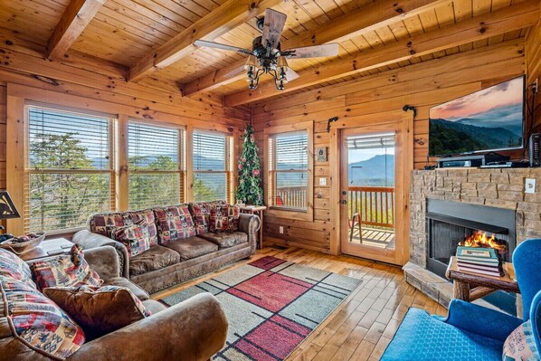 TV, fireplace