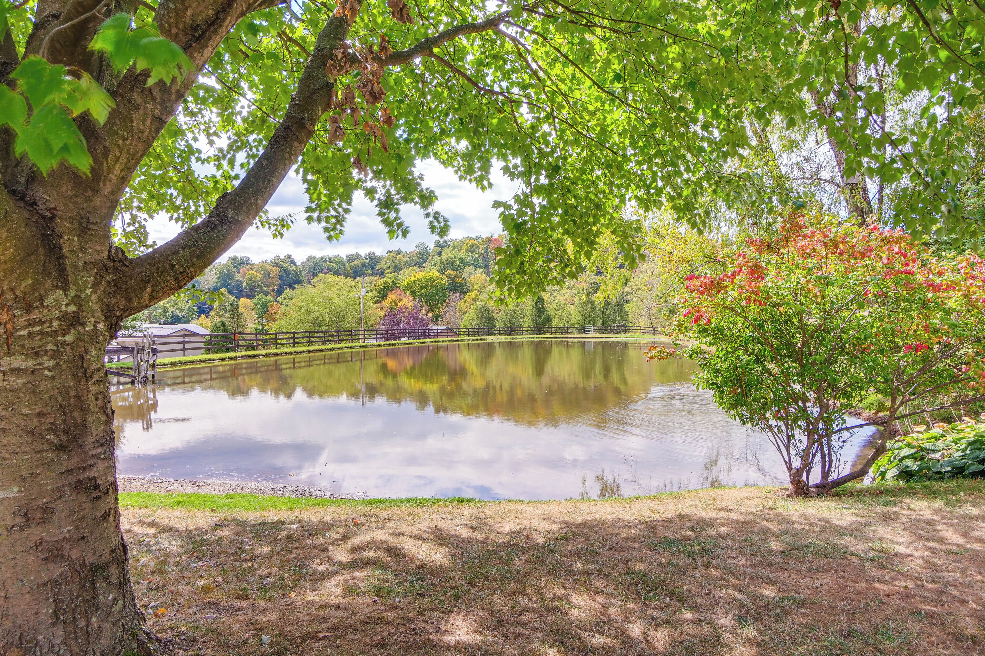 A serene lake with a dock, surrounded by trees and a grassy area.